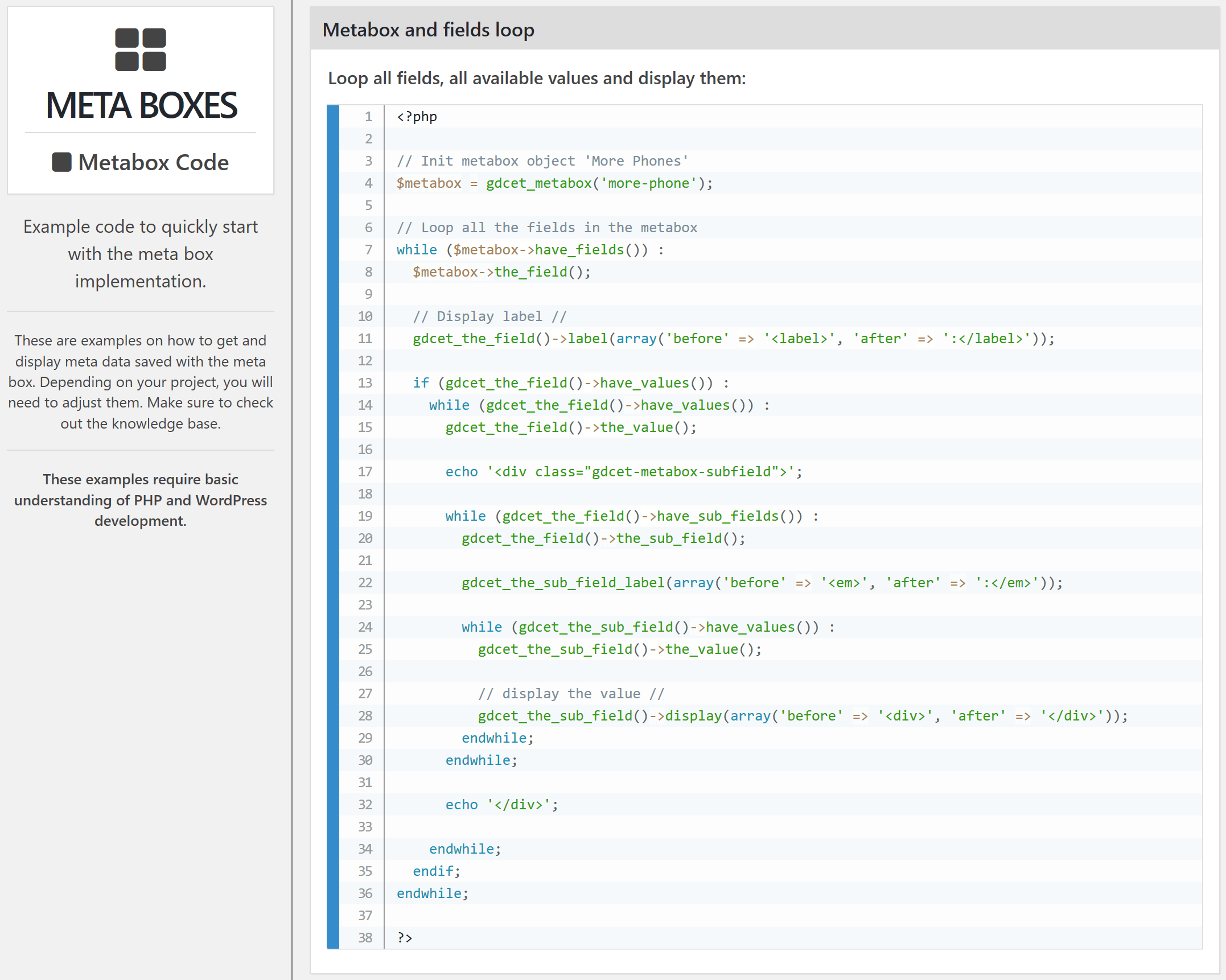 PHP Code Example for Metabox usage