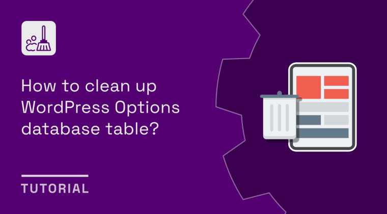 tutorials how to clean up wordpress options database table
